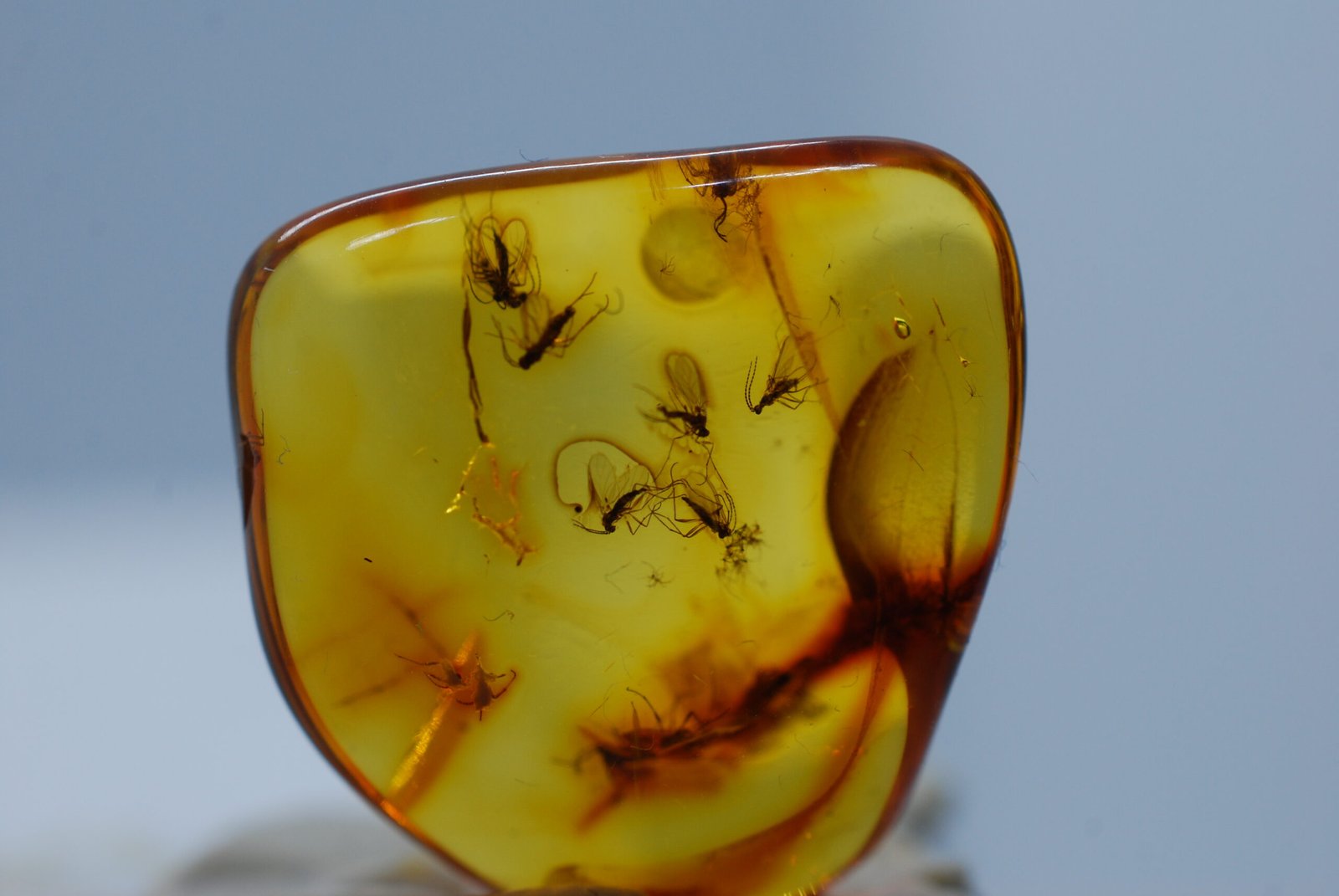 edukacija lietuvos pinigų istorija. vasario 7d. 11:00 edukacija lietuvos pinigų istorija. vasario 7d. 11:00